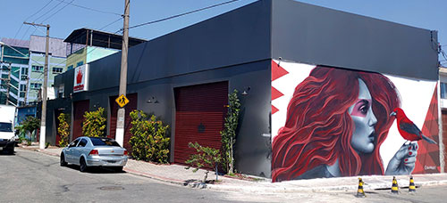 Foto não encontrada